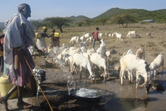 Pump Installation at Masai Lands
